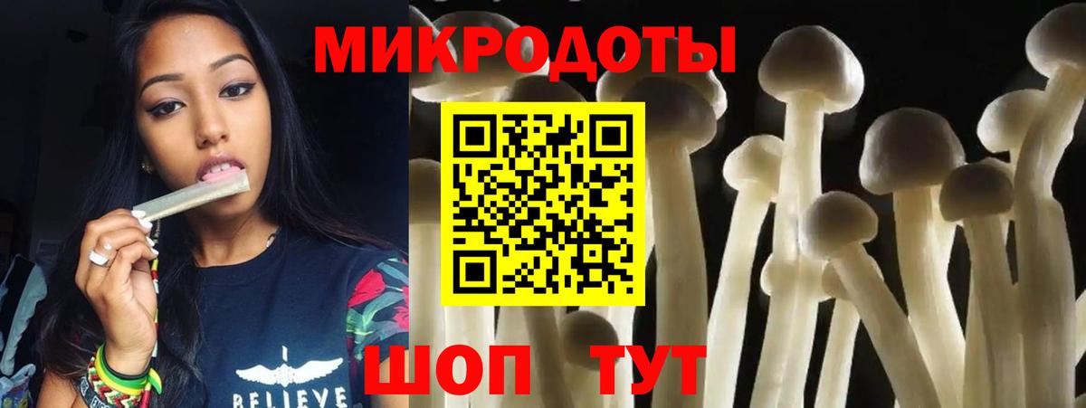 Ростов Великий  Галлюциногенные грибы Psilocybine cubensis  Вход с VPN 